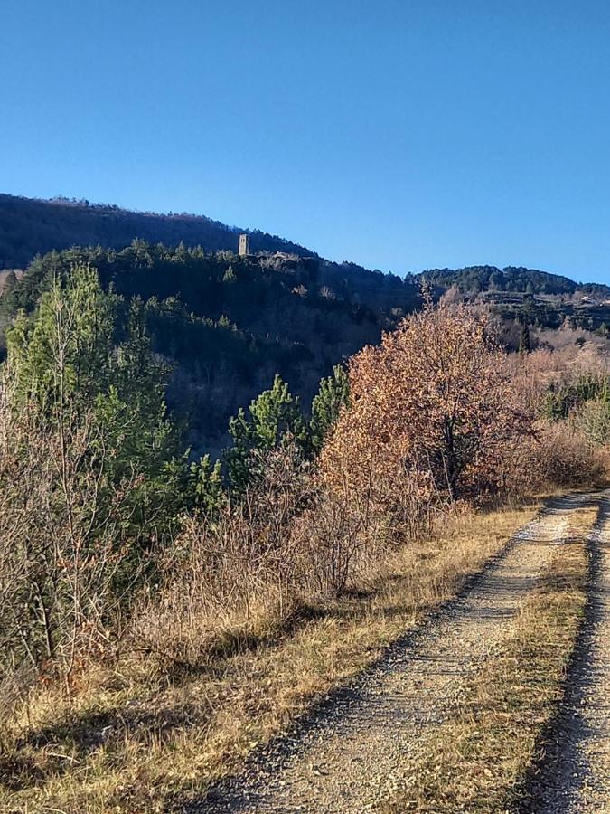 App Parenzana Lejlighed Grožnjan Eksteriør billede